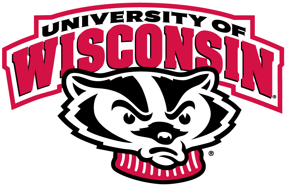 Wisconsin Badgers 2002-Pres Alternate Logo t shirts DIY iron ons